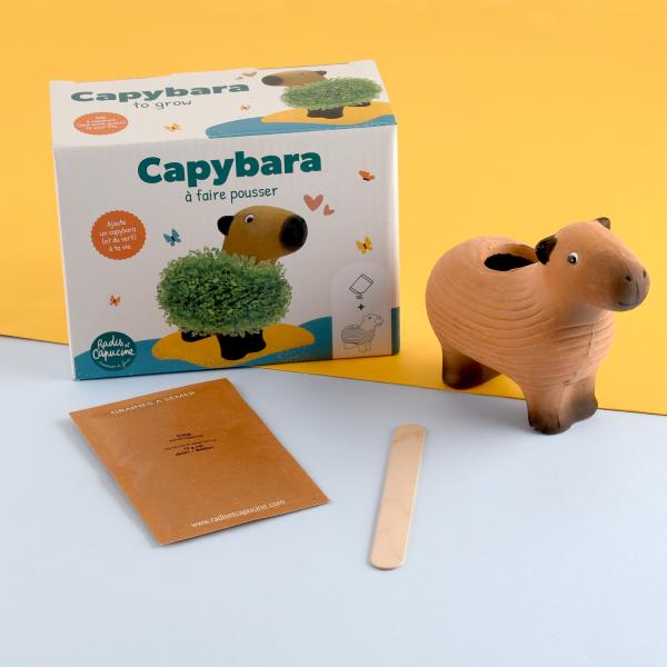 Radis et Capucine - Chia Pet - Capybara à faire pousser - MEDIA_EN_SITUATION_1